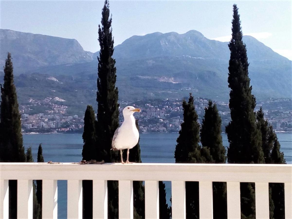Villa Boka Sunrise Apartments Herceg Novi Exterior foto