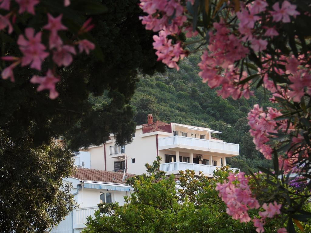 Villa Boka Sunrise Apartments Herceg Novi Exterior foto